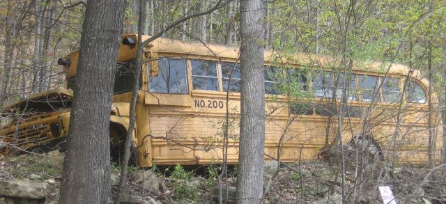 school bus