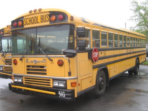 school bus