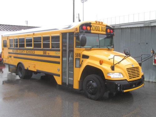 school bus