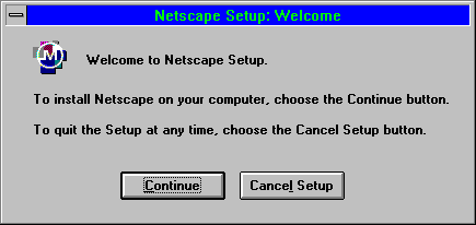 Netscape Setup