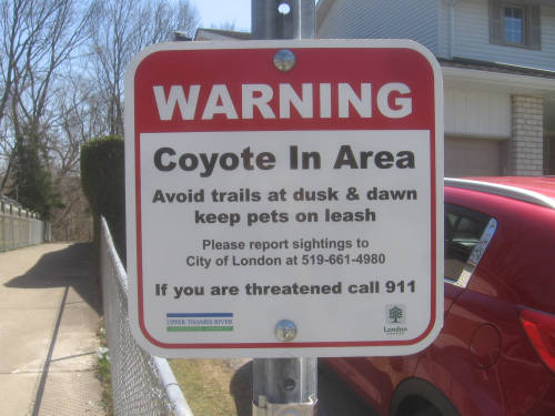 [Coyote in Area sign]