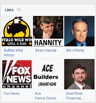 [Ex-high school classmate Steven S. rants on Facebook:
Likes Buffalo Wild Wings, Sean Hannity, Bill O'Reilly, Fox 'News,' Ace Fence-Decks, East River Financial]