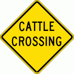 [Cattle Crossing]