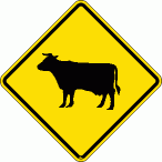 [Cattle Crossing]