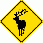 [Elk Crossing]
