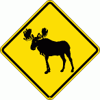[Moose Crossing]
