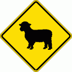 [Sheep Crossing]